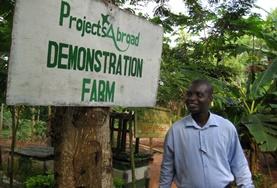 Vrijwilligerswerk in Ghana:Landbouw Vrijwilligerswerk in Ghana: Landbouw