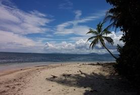 Lees hier meer info over vrijwilligersprojecten in de Costa Rica Vrijwilligerswerk in Midden en Zuid-Amerika: Costa Rica