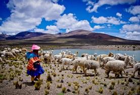 Lees hier meer info over vrijwilligersprojecten in Peru Vrijwilligerswerk in Midden en Zuid-Amerika: Peru