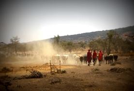 Cultuur & Samenleving projecten in het buitenland:Als vrijwilliger maak je kennis met de unieke Maasai cultuur in Tanzania. Als vrijwilliger maak je kennis met de unieke Maasai cultuur in Tanzania.