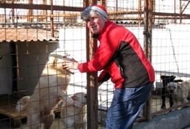 Vrijwilligerswerk in Roemenië:Als je vrijwilligerswerk doet met dieren in Roemenië werk je in een hondenasiel en help je bij de verzorging en behandeling van de honden. Als je vrijwilligerswerk doet met dieren in Roemenië werk je in een hondenasiel en help je bij de verzorging en behandeling van de honden.