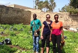 Microkrediet projecten in het buitenland:Senegal Microkrediet projecten in het buitenland: Senegal