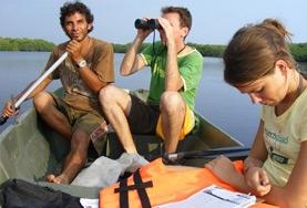 Vrijwilligerswerk in Mexico:Neem deel aan onderzoek naar zeeschildpadden tijdens dit natuurbehoud vrijwilligerswerk in Mexico. Neem deel aan onderzoek naar zeeschildpadden tijdens dit natuurbehoud vrijwilligerswerk in Mexico.