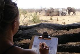 Vrijwilligerswerk in Zuid-Afrika:Help als vrijwilliger bij onderzoek naar bedreigde dieren in Zuid-Afrika. Help als vrijwilliger bij onderzoek naar bedreigde dieren in Zuid-Afrika.